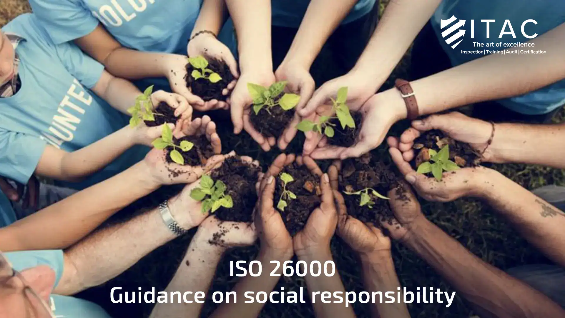 Benefits of ISO 26000 Consultancy in Dubai for Your Business